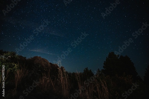 Aerial view of the beautiful starry sky and the silhouettes of trees © Anthony Nguyen/Wirestock Creators