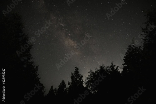 Aerial view of the beautiful starry sky and the silhouettes of trees