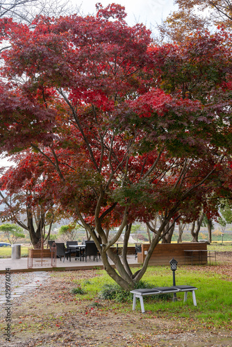 red bench in the park