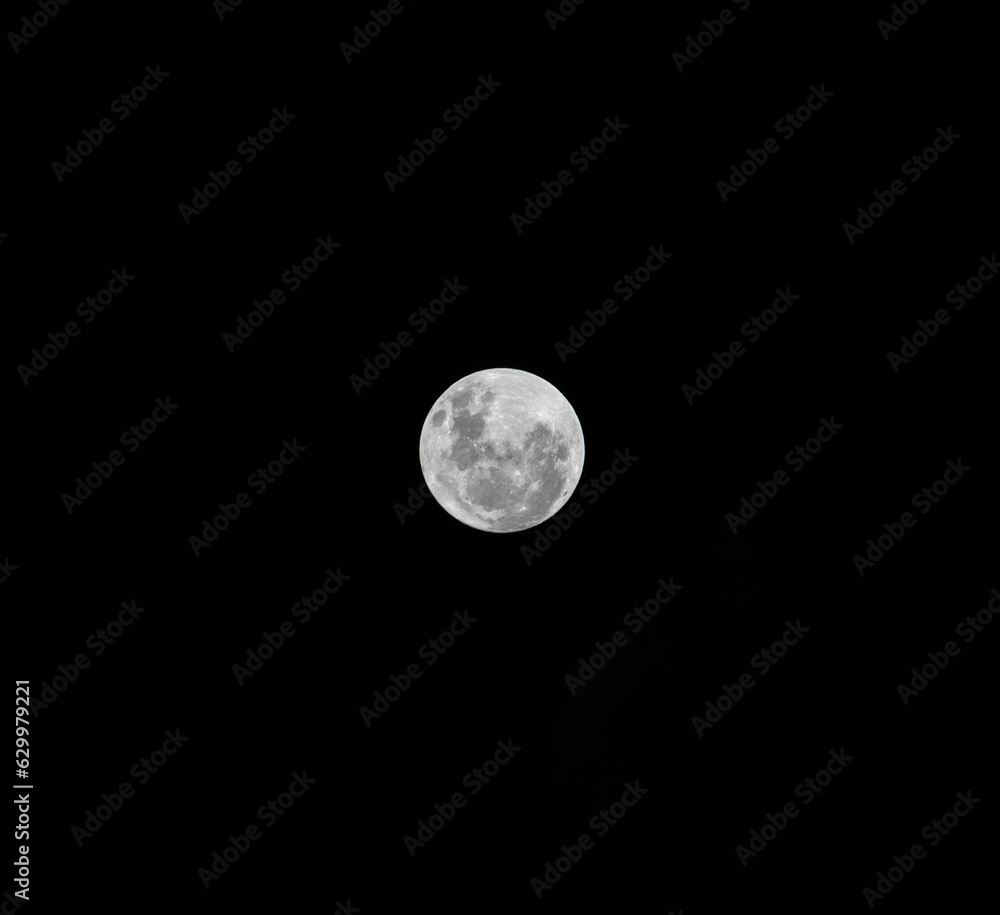 Sturgeon Large white moon over the Sydney skies Thursday 1 August 2023 NSW Australia Sturgeon Large white moon over the Sydney skies Thursday 1 August 2023 NSW Australia