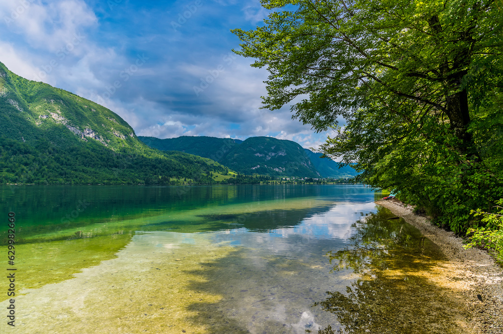 A view past trees from the southern shore across lake Bohinj, Slovenia in summertime