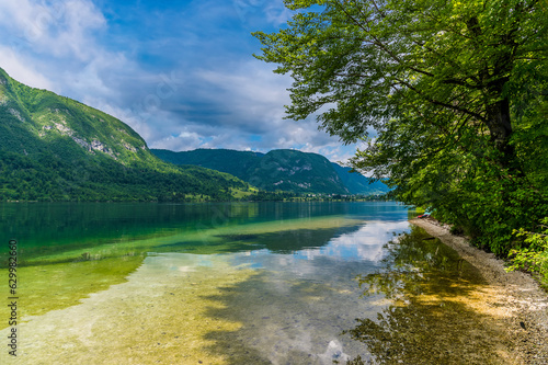 A view past trees from the southern shore across lake Bohinj, Slovenia in summertime