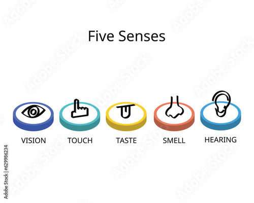 five senses for vision, hearing, touch, smell, and taste