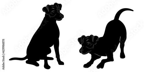 silhouette of a dog