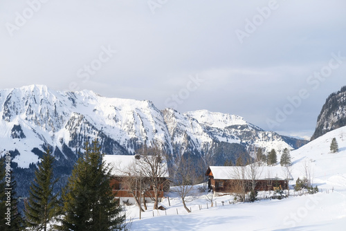 beautiful winter landscape  snow-covered trees  mountainpass  snowfall in the mountains  Swiss Alps in the snow  walks in the winter white forest  tourism  winter sports