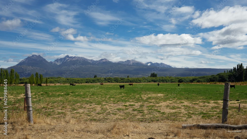Obraz premium Argentinian mountain range