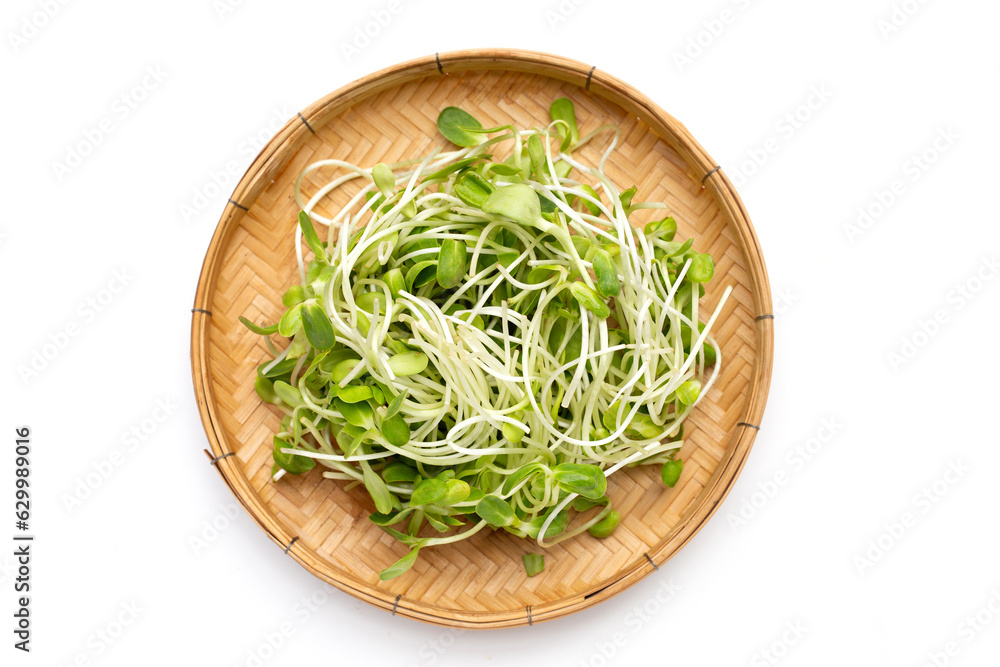 Sunflower Sprout on white background. Sunflower Sprout on white background.