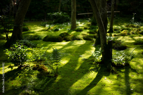 Beautiful natural gradient in green