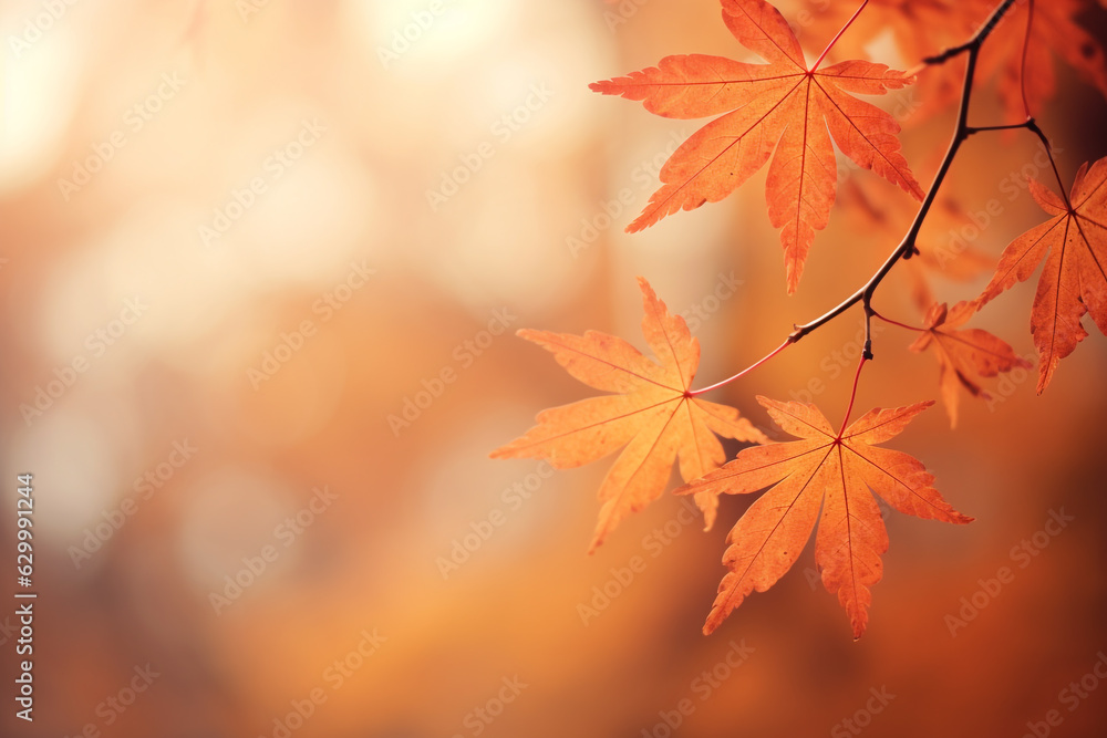 Beautiful Autumn Background with autumn leaves and plants, blurry effects, minimal orange design Beautiful Autumn Background with autumn leaves and plants, blurry effects, minimal orange design