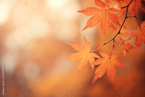 Beautiful Autumn Background with autumn leaves and plants, blurry effects, minimal orange design