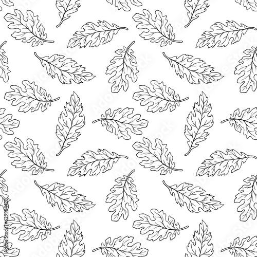 Outline Oak autumn leaves pattern. Mixed autumn leaves of different kinds of oak pattern.