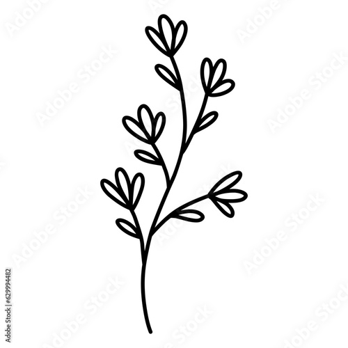 Cute branch with flowers and leaves isolated on white background. Vector hand-drawn illustration in doodle style. Perfect for cards, logo, decorations, various designs. Botanical clipart.