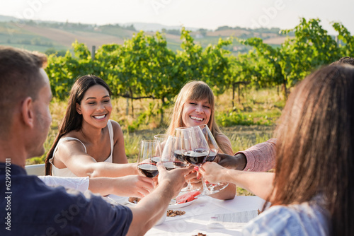 Photos Group of young multiracial people cheering with red wine outdoor - Diverse frien