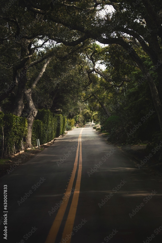 Obraz premium Road surrounded by green trees in Montecito, California