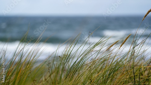 Fototapeta Naklejka Na Ścianę i Meble -  Beautiful landscape of a beach with lush green grass in the foreground