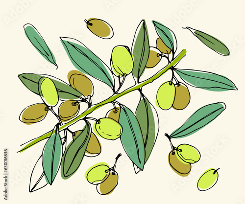 Sketch of olive branche. Hand drawn line art. Illustration. Green, olive colors. Leaves. Vector elements for packaging design, patterns, banners, food menu.