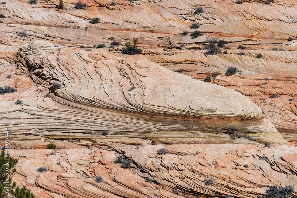 Upper East Canyon in Zion National Park Upper East Canyon in Zion National Park