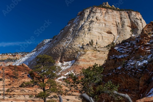 Upper East Canyon in Zion National Park