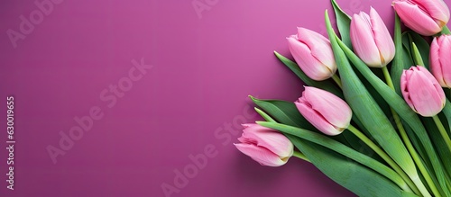 An arrangement of pink tulips is showcased on a vibrant green backdrop. It represents concepts of Valentine's