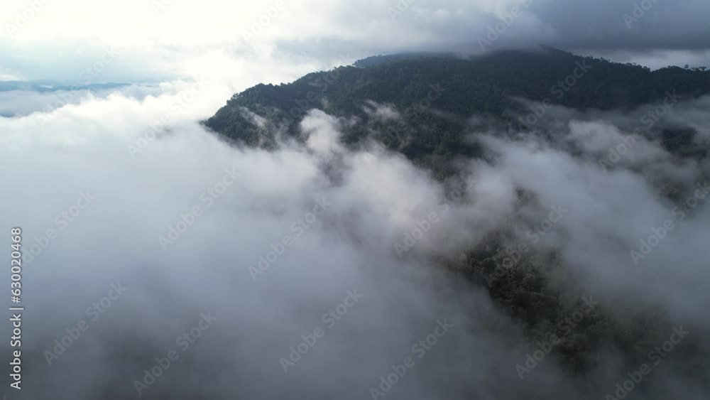 Aerial view of a forest in the lush green rain cloud cover tropical rain forest mountain during the rainy season in the northern Thailand. Aerial view of a forest in the lush green rain cloud cover tropical rain forest mountain during the rainy season in the northern Thailand.