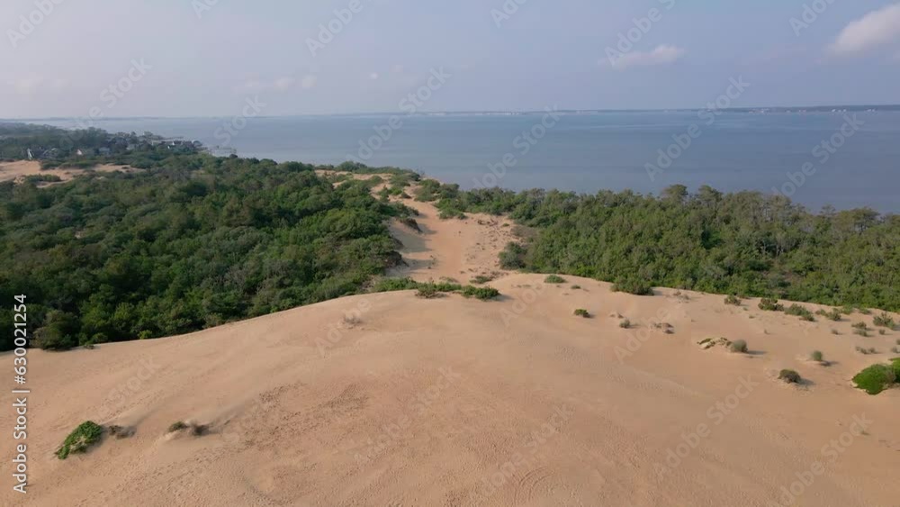 Aerial of green trees and and a shore with the blue sea in the background Aerial of green trees and and a shore with the blue sea in the background