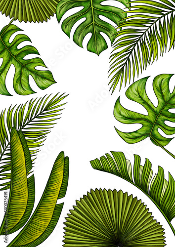 Rectangular A4 template for text with tropical palm leaves. Frame or border with jungle rainforest exotic plants. Isolated on white realistic hand drawn illustration for label design. © Taity