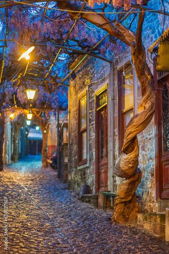 Fototapeta Naklejka Na Ścianę i Meble -  Photos taken from various angles on the Greek island of Lesvos