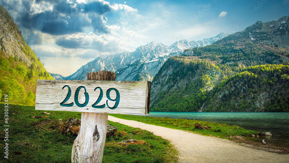 Signposts the direct way to 2029 - obrazy, fototapety, plakaty 