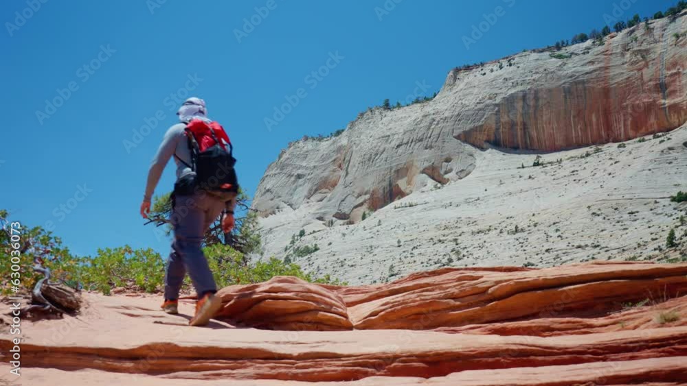 Person hiking in Angels Landing in Zion national park in Utah with huge cliffs Person hiking in Angels Landing in Zion national park in Utah with huge cliffs