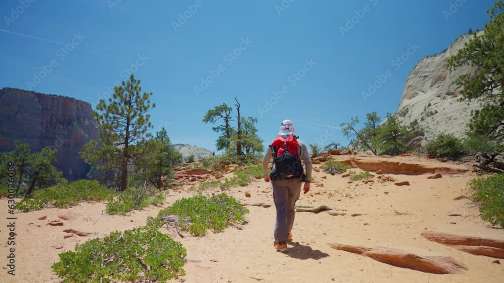 Person hiking in Angels Landing in Zion national park in Utah with huge cliffs Person hiking in Angels Landing in Zion national park in Utah with huge cliffs