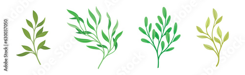 Sprigs and Twiglets with Green Leaves as Botanical Foliage Vector Set