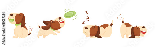 Jack Russell Terrier with Collar in Different Pose Vector Set
