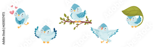 Cute Blue Bird with Wings and Feathers Vector Set photo