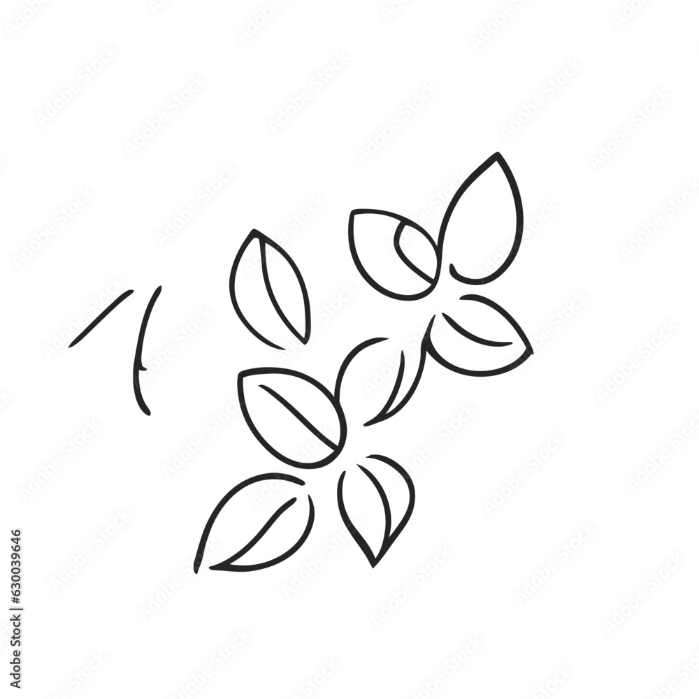 leaves vector illustration doodle line art
