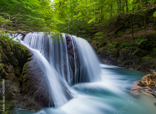 waterfall in the forest