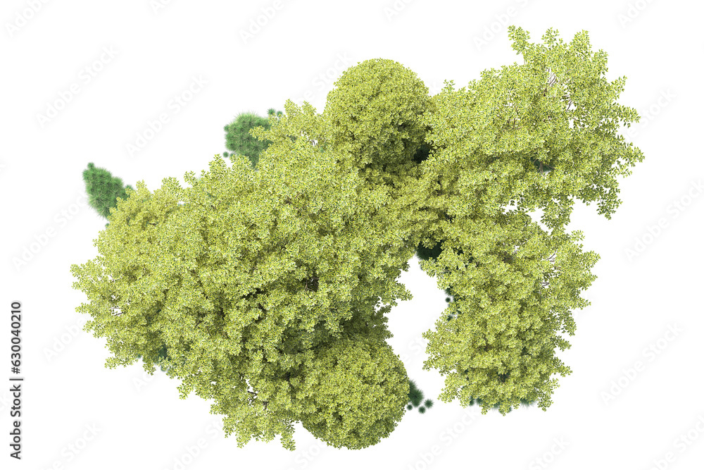 Green landscape isolated on transparent background. 3d rendering - illustration