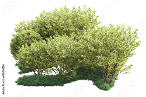 Green landscape isolated on transparent background. 3d rendering - illustration