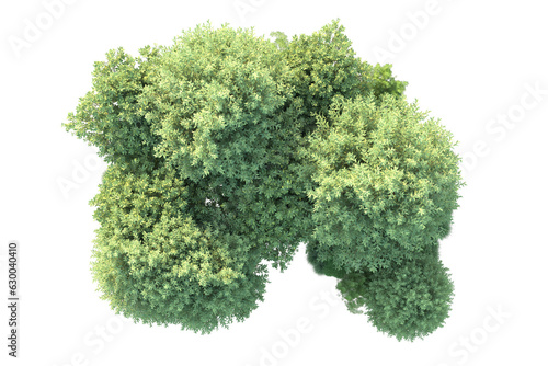 Green landscape isolated on transparent background. 3d rendering - illustration