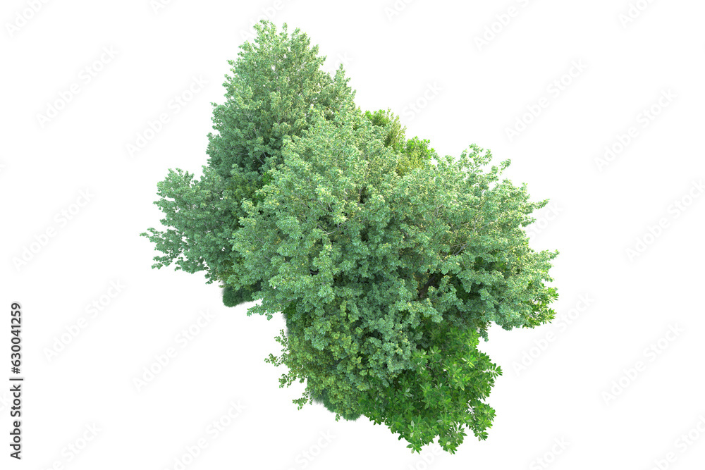 Green landscape isolated on transparent background. 3d rendering - illustration