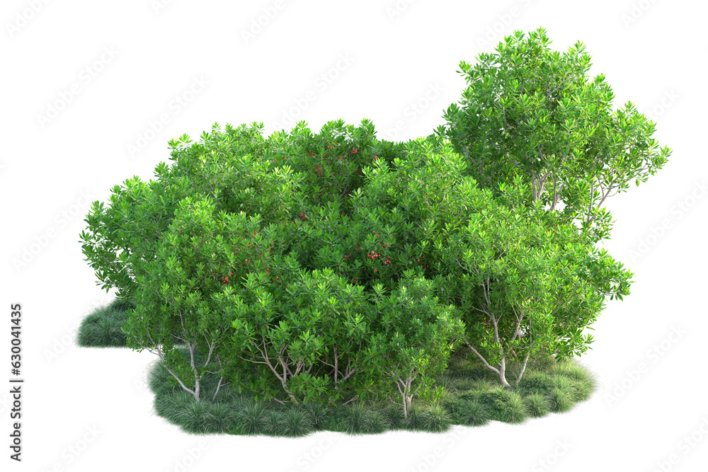 Fototapeta premium Green landscape isolated on transparent background. 3d rendering - illustration