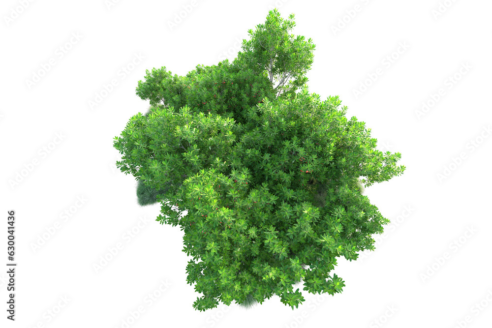 Obraz premium Green landscape isolated on transparent background. 3d rendering - illustration