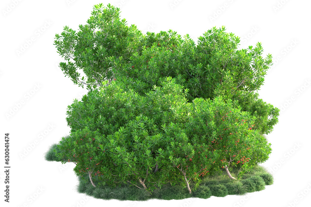 Fototapeta premium Green landscape isolated on transparent background. 3d rendering - illustration