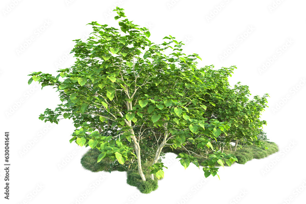 Obraz premium Green landscape isolated on transparent background. 3d rendering - illustration