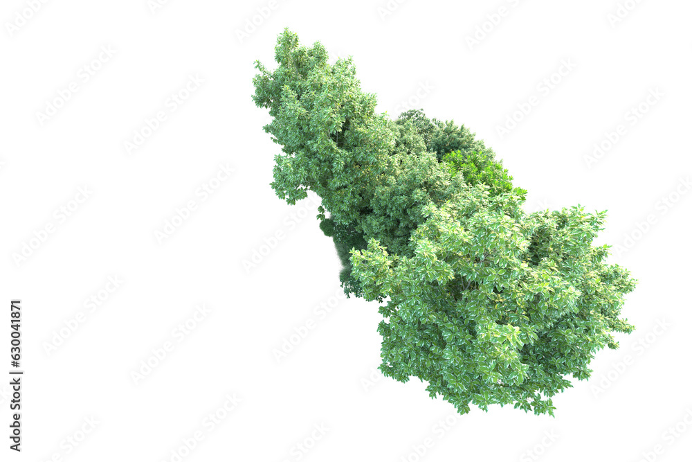 Green landscape isolated on transparent background. 3d rendering - illustration