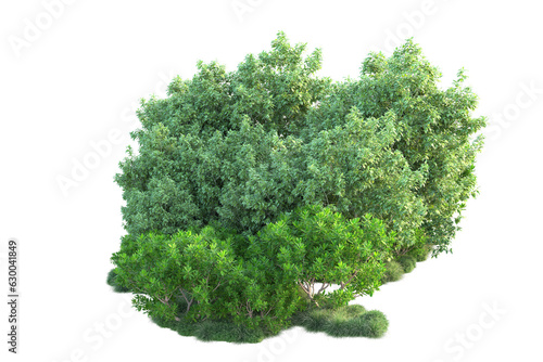 Green landscape isolated on transparent background. 3d rendering - illustration