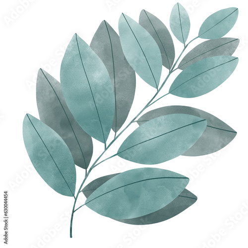 beautiful leaf flower hand draw watercolour element decoration