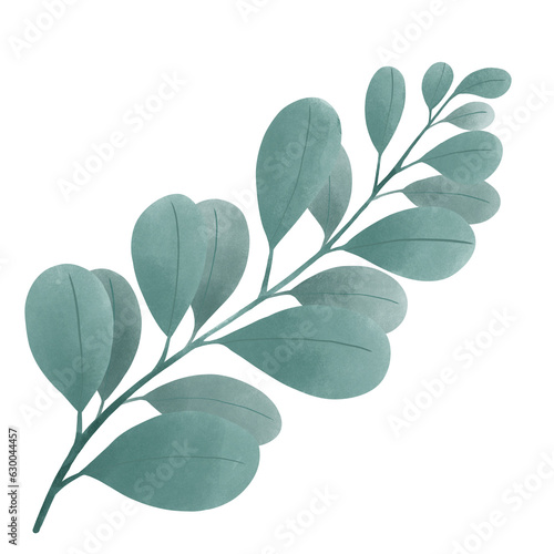 beautiful leaf flower hand draw watercolour element decoration