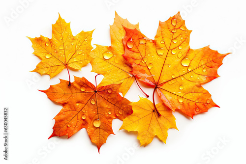 Autumn leaves background.with drops of water  isolated white background