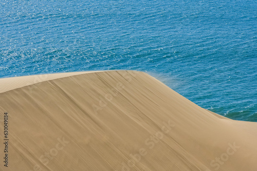 Fototapeta Naklejka Na Ścianę i Meble -  Namibia, the Namib desert, landscape of yellow dunes falling into the sea
