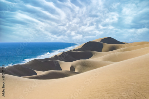 Fototapeta Naklejka Na Ścianę i Meble -  Namibia, the Namib desert, landscape of yellow dunes falling into the sea
